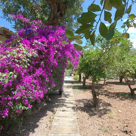 Chalet Alconasser 3 - Amazing Seaviews Between Deia &